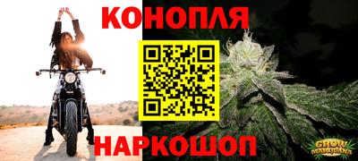 Альфа ПВП Ирбит